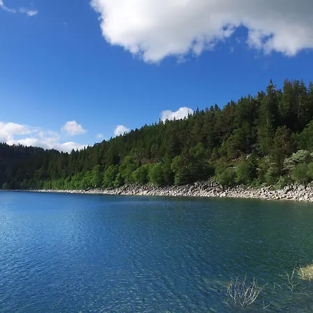 Vvf Alsace Colmar 3* Orbey