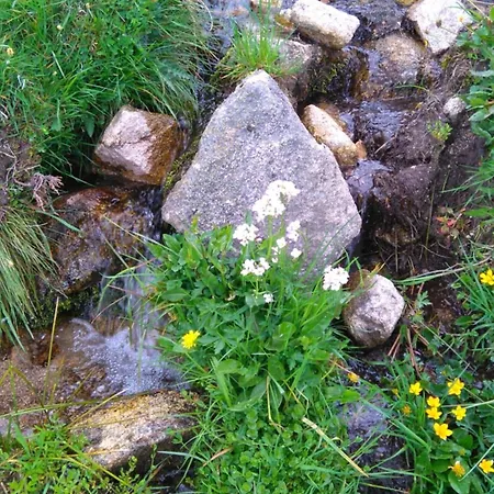 Vvf Alsace Colmar 3*