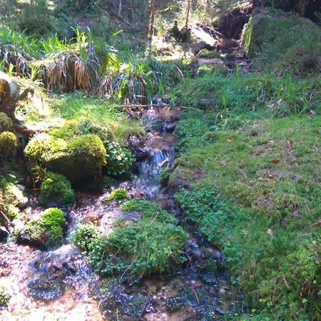 Vvf Alsace Colmar 3*