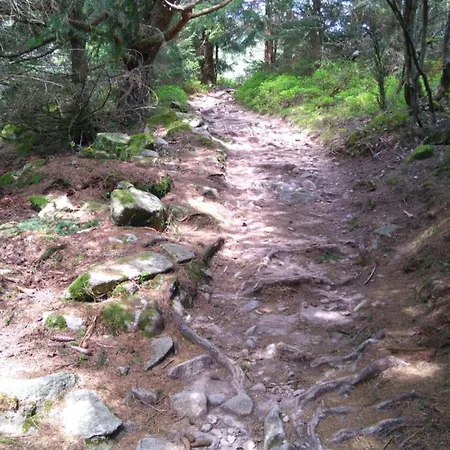 Semesterpark Vvf Alsace Colmar Orbey