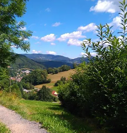 Vvf Villages   La Route Des Vins D'alsace 3*