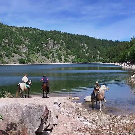 Vvf Alsace Colmar Vakantiepark 3*